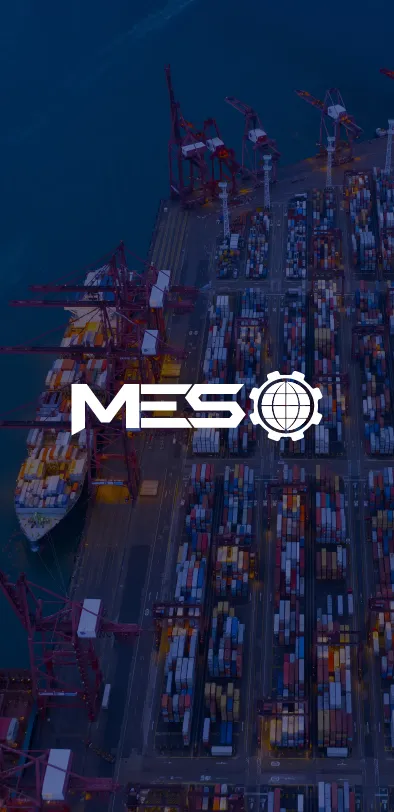 Global Supply Chain & Sourcing